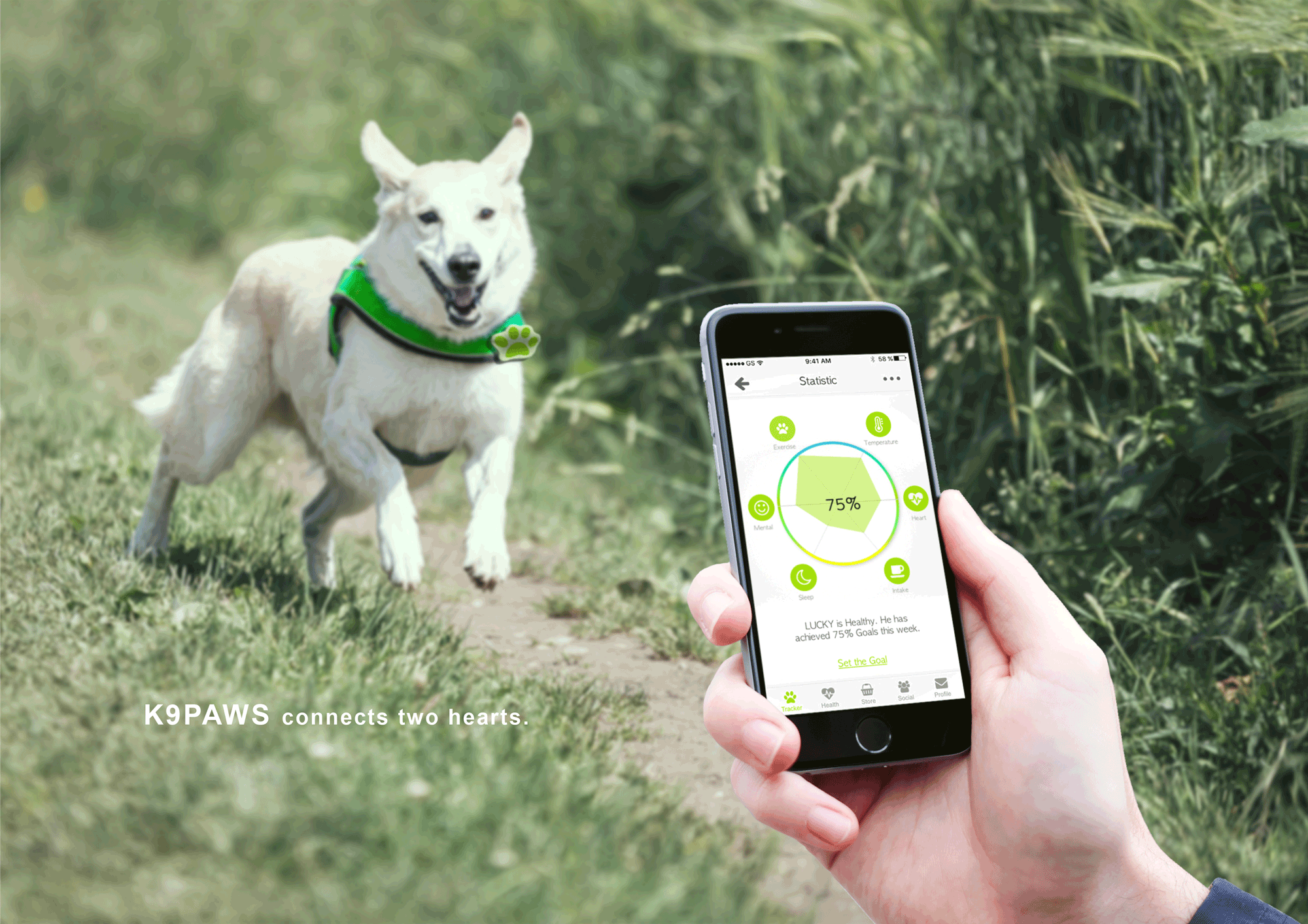 K9Paws-statistic-mockup