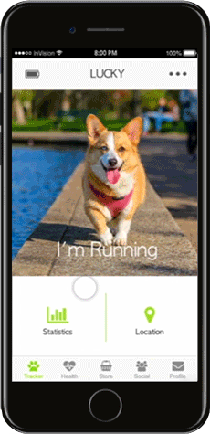 paws-location-GIF