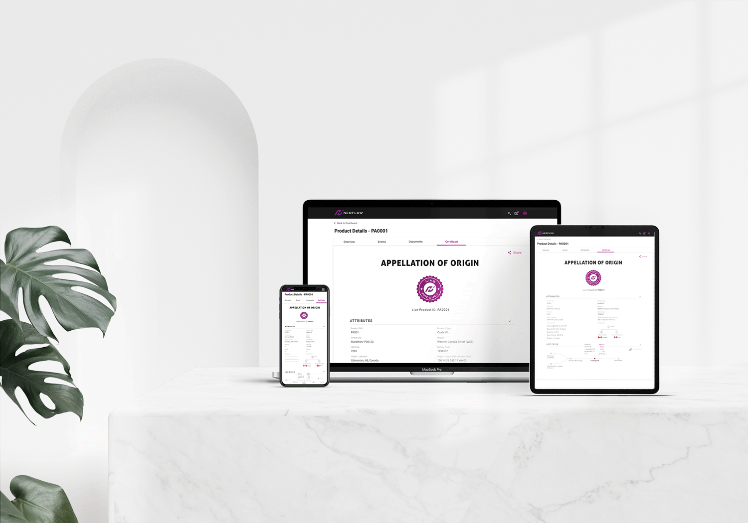 NF-responsive-mockup